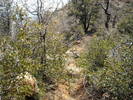 photo thumbnail #13