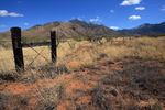 photo thumbnail #5