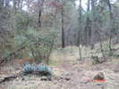 photo thumbnail #15