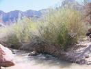 photo thumbnail #12