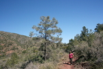 photo thumbnail #11