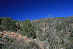 photo thumbnail #12