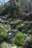 photo thumbnail #14