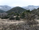 photo thumbnail #12