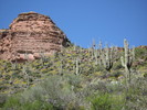 photo thumbnail #11