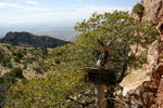 photo thumbnail #5