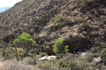 photo thumbnail #8