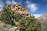 photo thumbnail #12