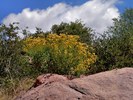 photo thumbnail #13