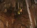 photo thumbnail #14