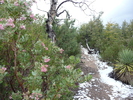 photo thumbnail #1