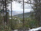 photo thumbnail #2