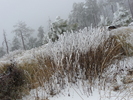 photo thumbnail #12