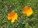 photo thumbnail #2