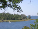 photo thumbnail #8