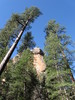 photo thumbnail #13