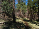 photo thumbnail #6