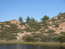 photo thumbnail #2