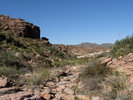 photo thumbnail #13