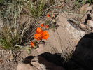 photo thumbnail #15