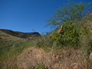 photo thumbnail #2