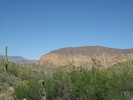 photo thumbnail #1