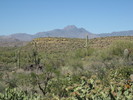 photo thumbnail #2
