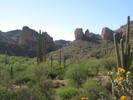 photo thumbnail #7