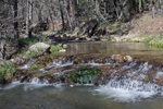 photo thumbnail #6