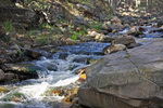 photo thumbnail #12