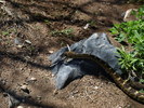 photo thumbnail #9