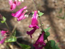 photo thumbnail #13