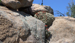 photo thumbnail #9