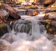 photo thumbnail #1