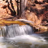 photo thumbnail #12