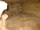 photo thumbnail #15