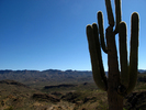 photo thumbnail #10