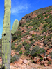 photo thumbnail #5