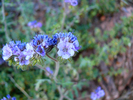 photo thumbnail #15