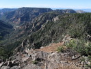 photo thumbnail #5