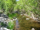 photo thumbnail #9