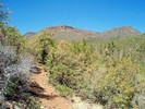 photo thumbnail #6