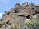 photo thumbnail #11