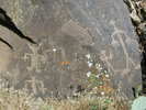 photo thumbnail #13
