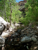 photo thumbnail #15