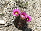 photo thumbnail #9