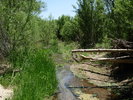 photo thumbnail #3