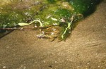 photo thumbnail #7