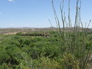 photo thumbnail #10