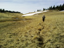 photo thumbnail #2